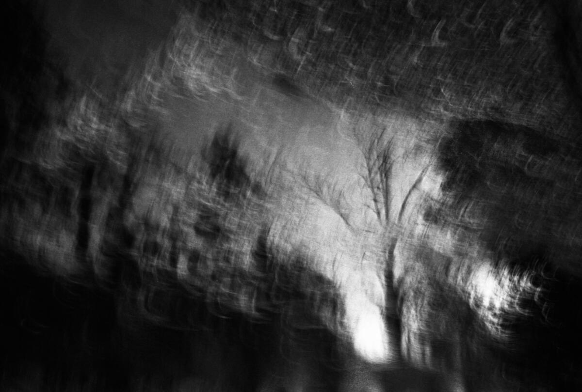 See "L’arbre qui boit" of Valentin Jarrige