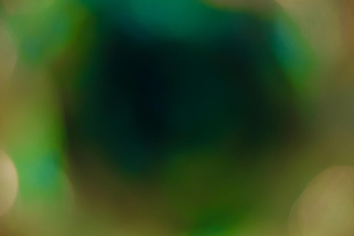See "Diffraction #7 
