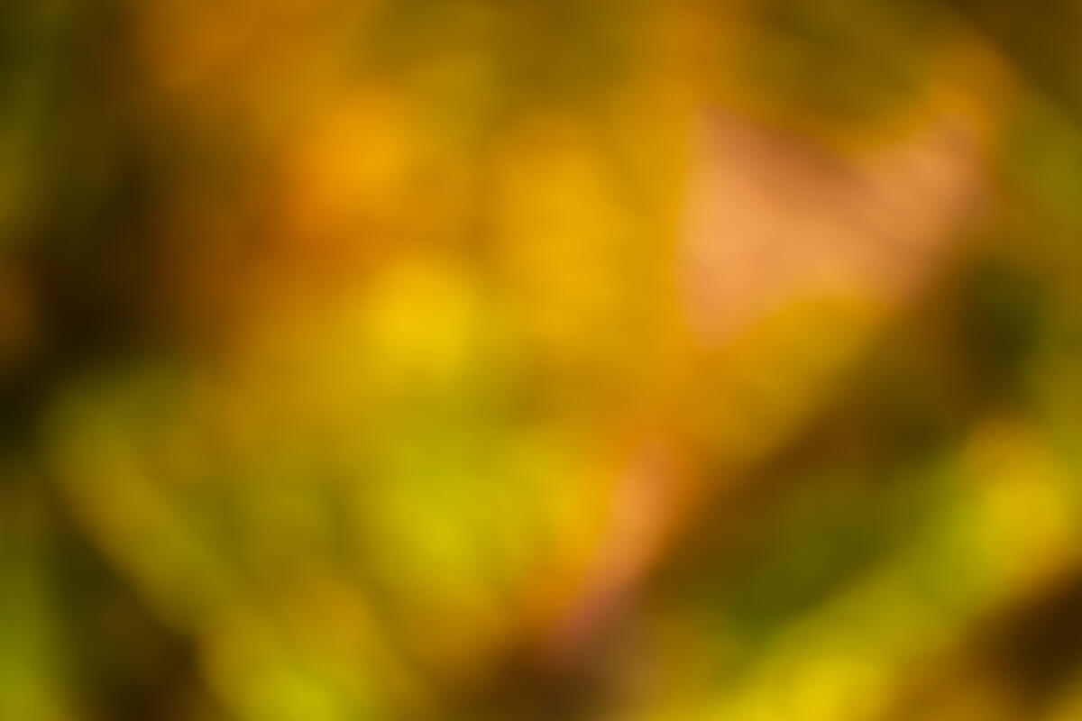 See "Diffraction #13" of Guillaume De remusat