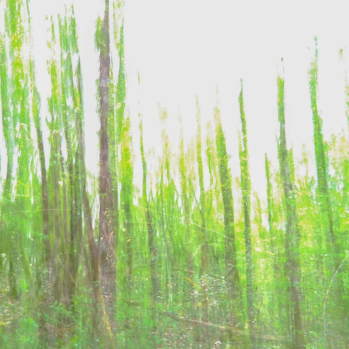 See "Vertige #16" of Guillaume De remusat