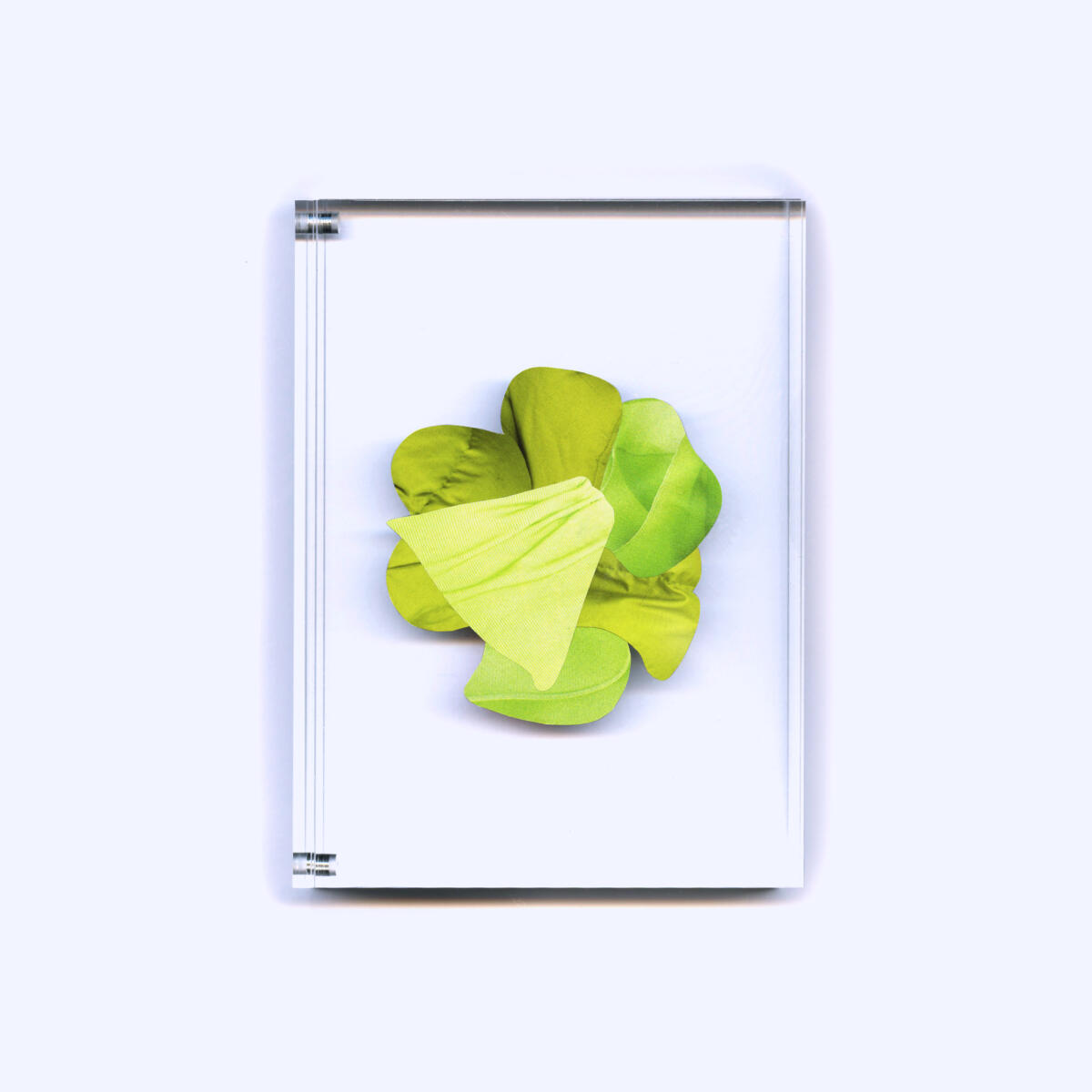 See "CHEWING GUM - VERT" of Fanny Garnichat